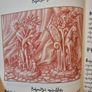 Codex Seraphinus Image 9