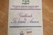 1989 National Hurling League final