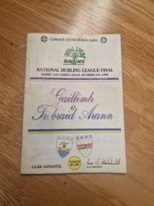 1989 National Hurling League final