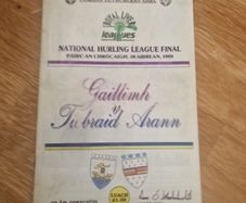 1989 National Hurling League final