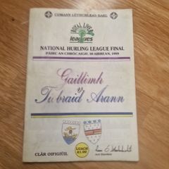 1989 National Hurling League final
