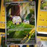 Togedemaru ! Illustration Rare ! from Phantasmal Flames Set ! 2025 ! Pokemon Card ! Image 2