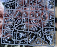 Warhammer Leviathan Marines