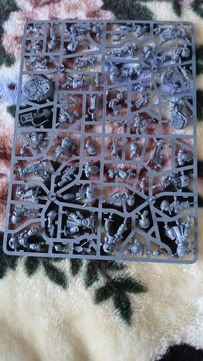 Warhammer Marines