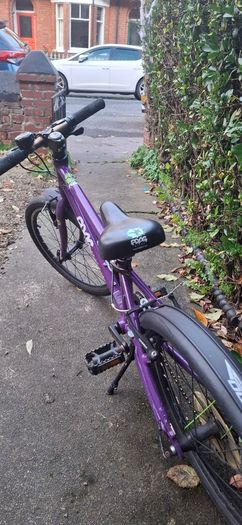 Frog 55 kids bike