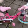 Lol Bike Image 4