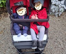 Double buggy