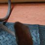Vintage hook Anchor Image 7