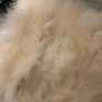 Pale Peach Turkish Feather Shrug Image 4