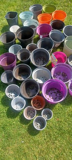plant pot bundle