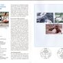 2007 Bundes Republic Deutschland (Germany) Federal Annual Stamp EFT Collection with 41 Images of contents Image 8
