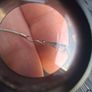 18k White Gold Plated Heart-cage Pearl Pendant Snake Chain Image 8
