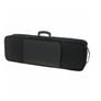Harley Benton Electric Violin Set Image 4