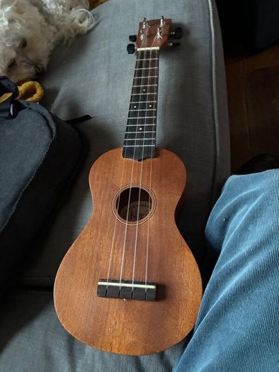 Ukulele with case