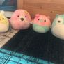 Squishmallows Image 6