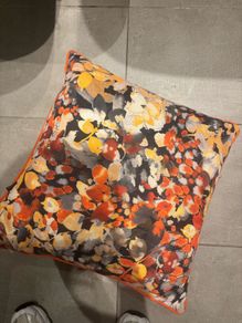 scatterbox cushions