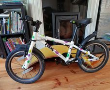 Frog bike 48