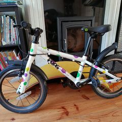 Frog bike 48