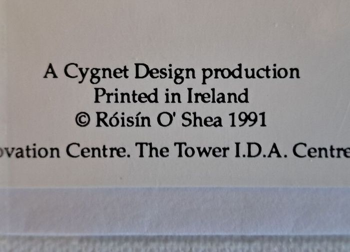 Roisin O' Shea Greetings Cards x 5