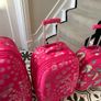 Luggage 3 piece, good condition. Image 3