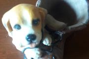 dog ornament