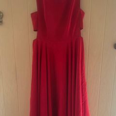 Ted Baker Dress