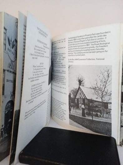 Dublin and Leinster: A Photographic Literary Record 1875-1925 by Art O'Broin and Sean McMahon (PT152)
