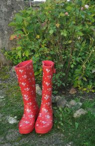 wellington boots
