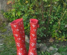 wellington boots