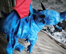 Dragon costume