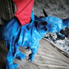 Dragon costume