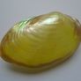 Shells, Home decor, Shell decorations.New Image 2