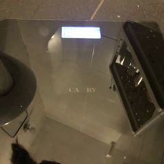 digital bathroom scale