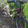 Bicycle for sale Image 2