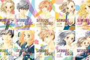 Strobe Edge Manga Book