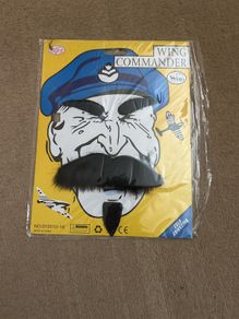 Fake mustache, beard, eyebrows