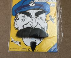 Fake mustache, beard, eyebrows