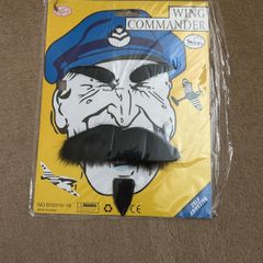 Fake mustache, beard, eyebrows