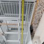 bird cage Image 10