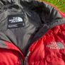 The North Face Puffer Image 2