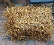Square Straw Bale Half Size