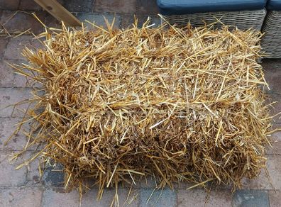 Square Straw Bale Half Size