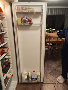 larder  tall fridge  zanussi
