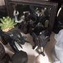 Elephant collection Image 7