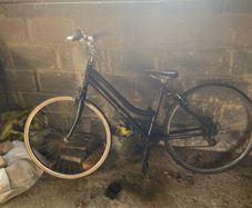 Klondike ladies bike