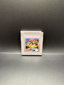 Race Days Nintendo Game Boy