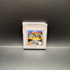 Race Days Nintendo Game Boy