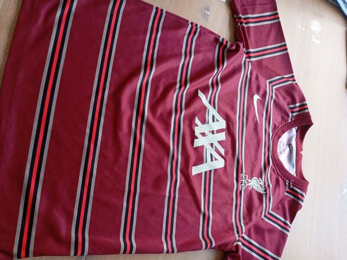 Nike Liverpool FC 2021/2022 Pre-Match Training Jersey