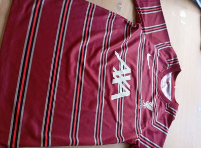 Nike Liverpool FC 2021/2022 Pre-Match Training Jersey