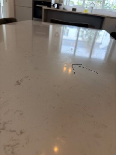 Marble top Dining Table w/ 6 grey velvet chairs